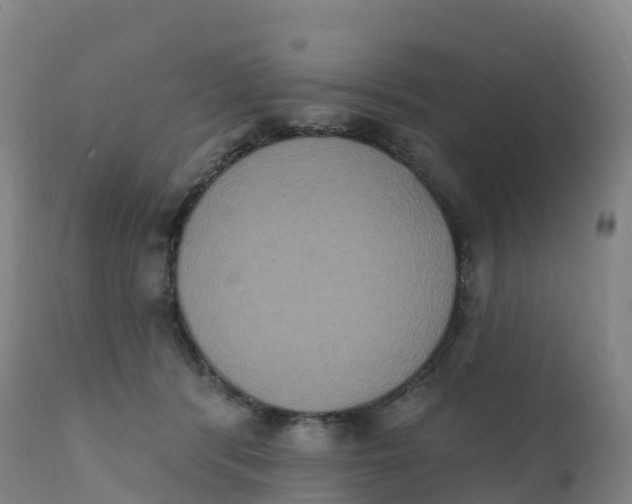 X0000111830416200908131551