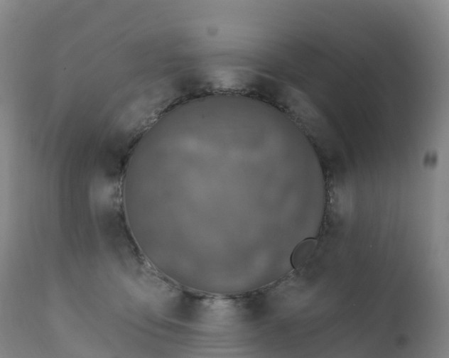 X0000111830419200908131551