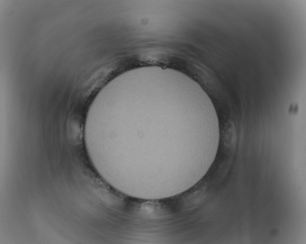 X0000111830420200908131551