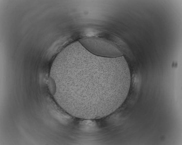 X0000111830421200908131551