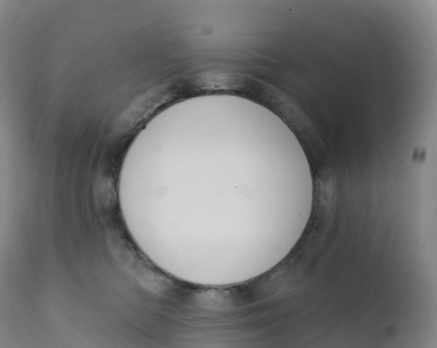 X0000111830422200908131551