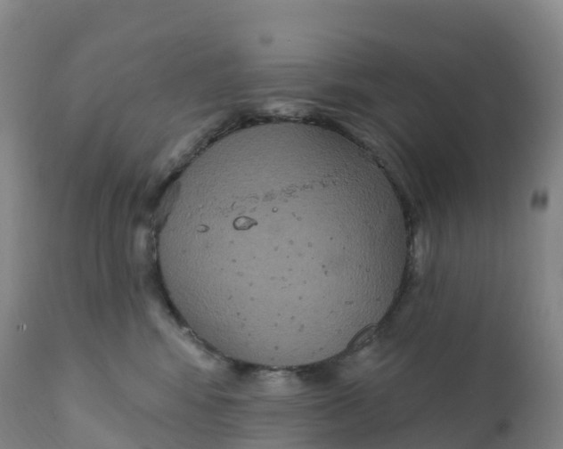 X0000111830424200908131551