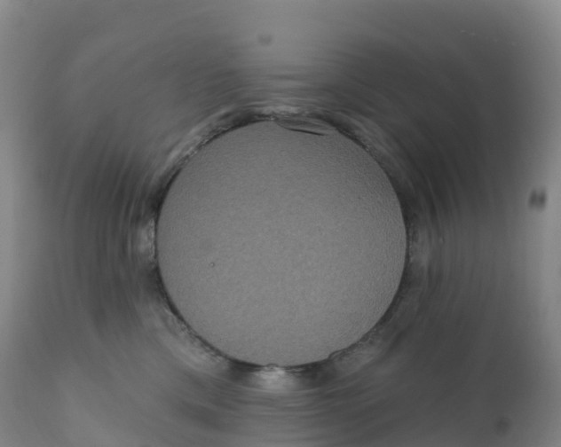 X0000111830425200908131551