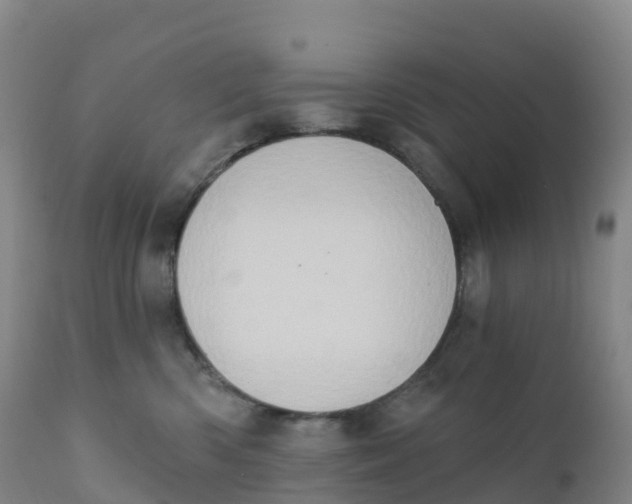 X0000111830426200908131551