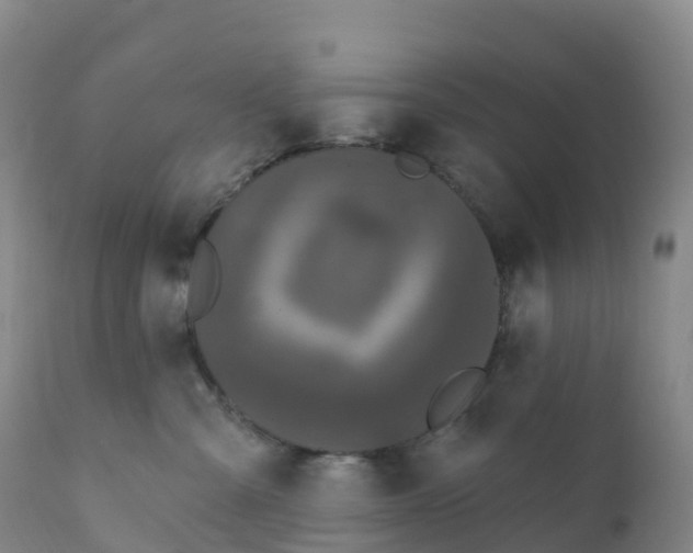 X0000111830427200908131551