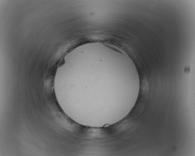 X0000111830428200908131551