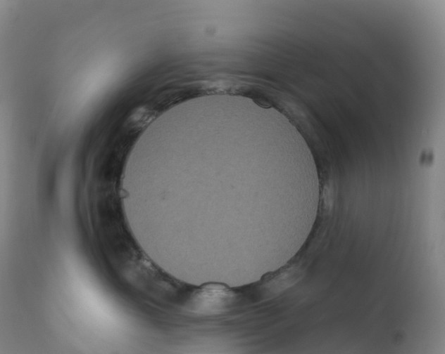 X0000111830429200908131551