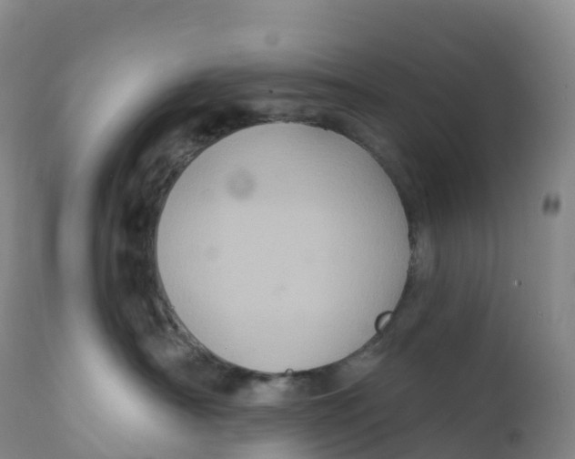 X0000111830430200908131551