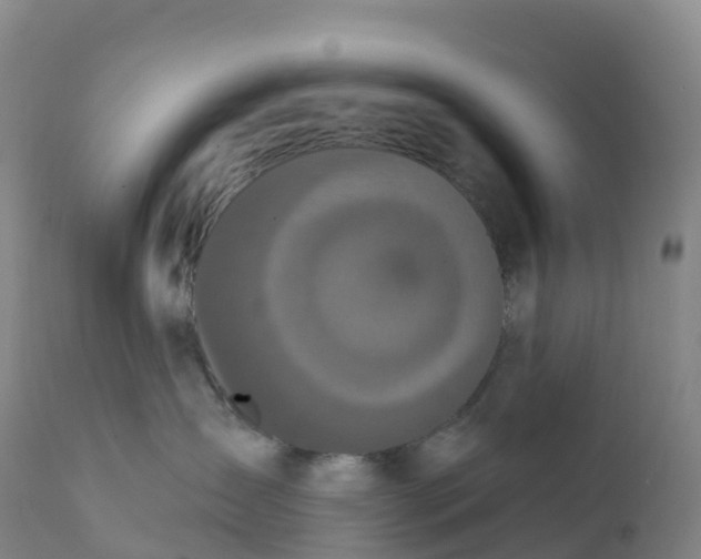 X0000111830431200908131551