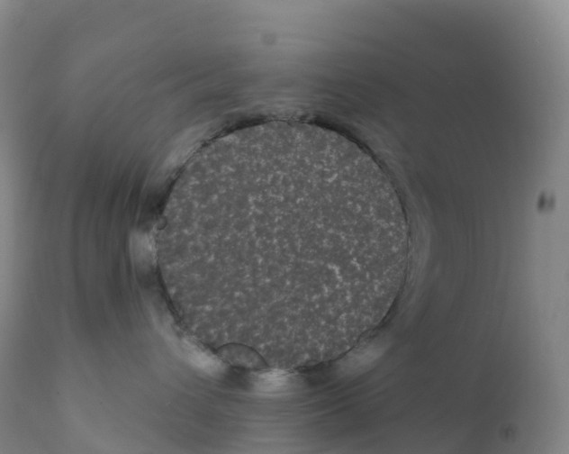 X0000111830432200908131551