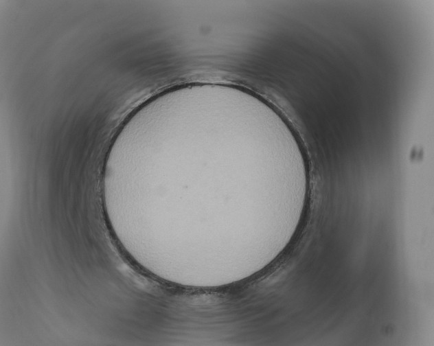 X0000111830433200908131550