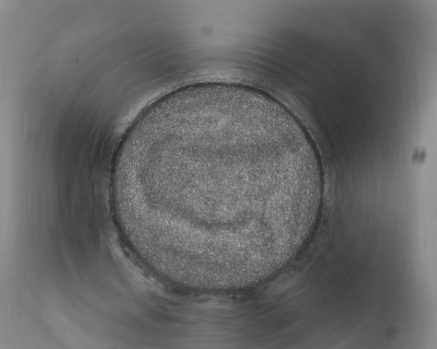 X0000111830434200908131550