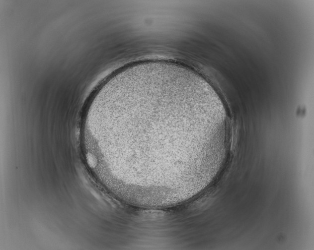 X0000111830435200908131550