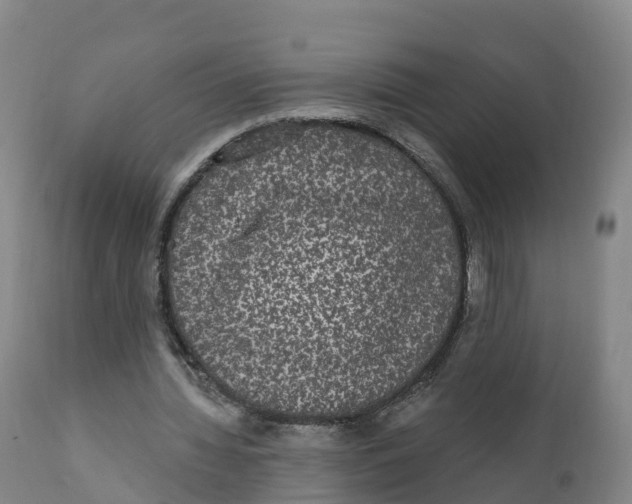 X0000111830436200908131550