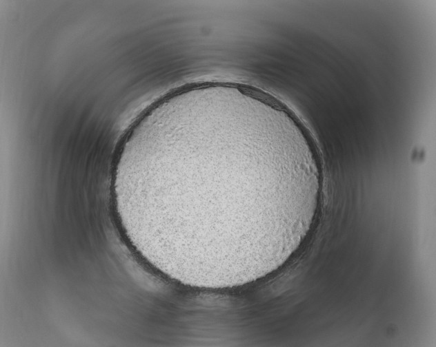 X0000111830437200908131550