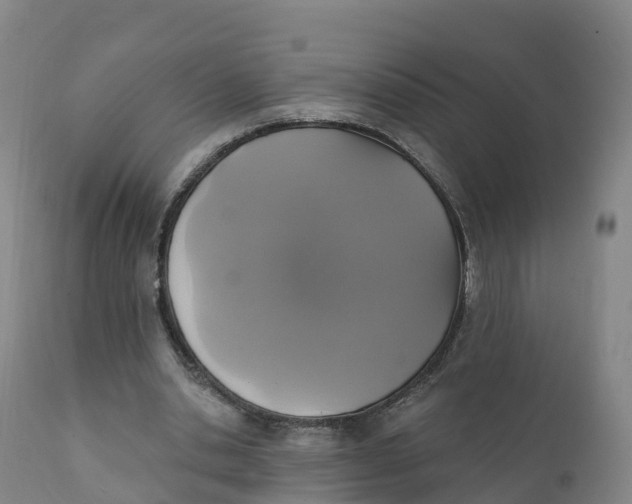 X0000111830438200908131550