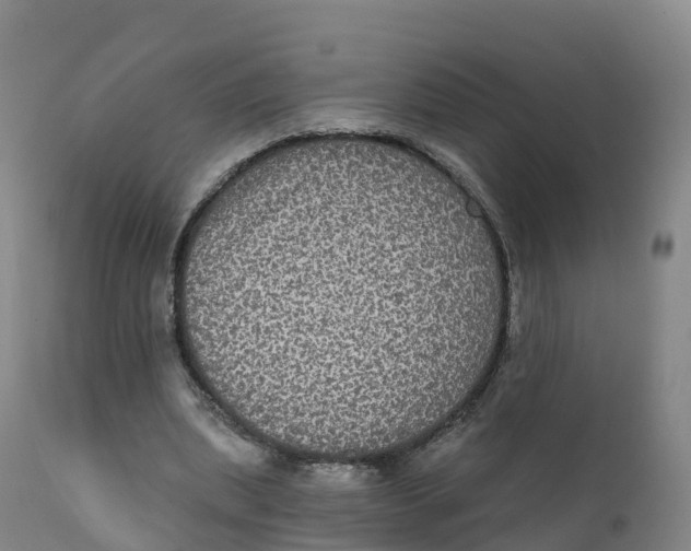 X0000111830439200908131550