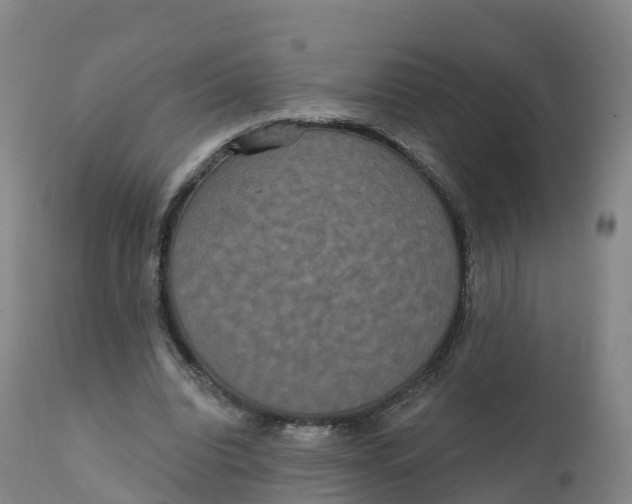 X0000111830440200908131550