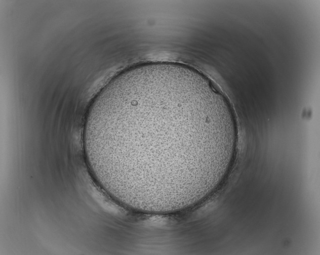 X0000111830441200908131550