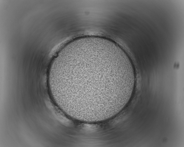 X0000111830442200908131550