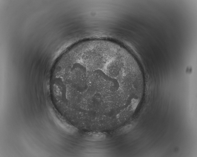 X0000111830443200908131550