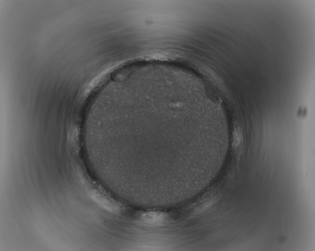 X0000111830444200908131550