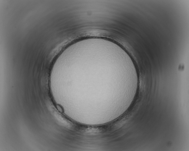 X0000111830445200908131550