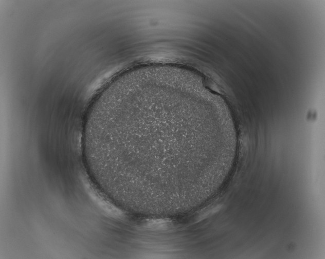 X0000111830446200908131550