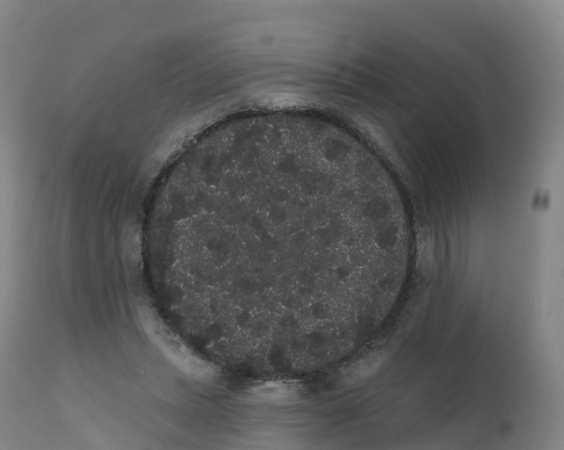 X0000111830447200908131550