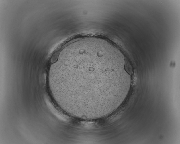 X0000111830448200908131550