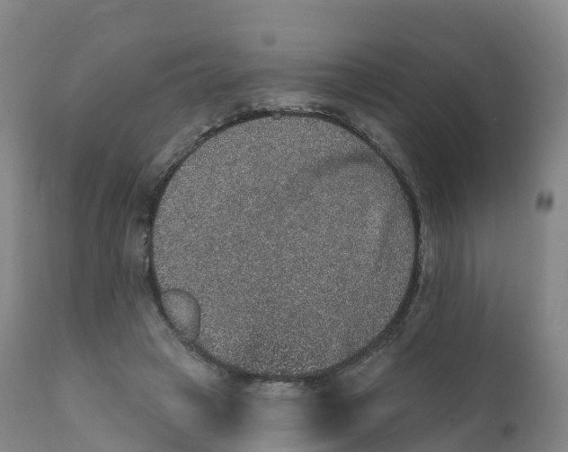 X0000111830449200908131550