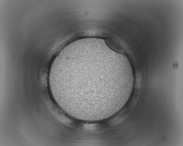 X0000111830450200908131550