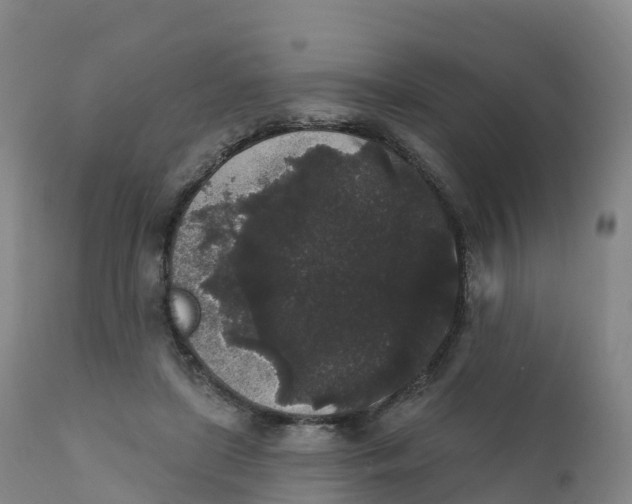 X0000111830451200908131550