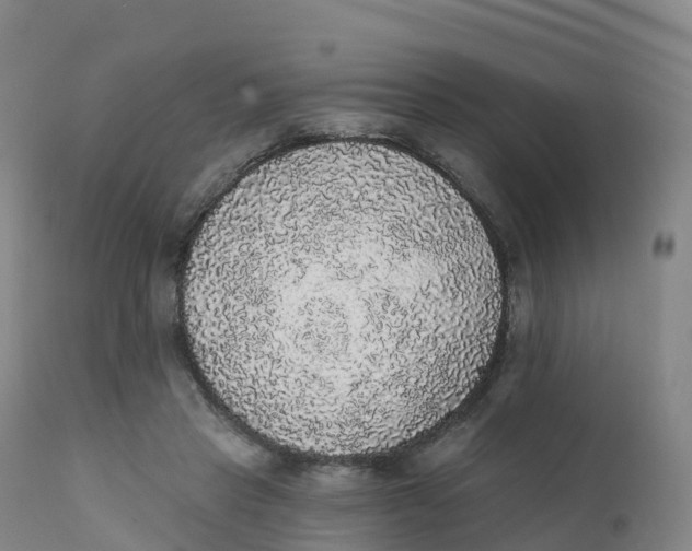 X0000111830453200908131550