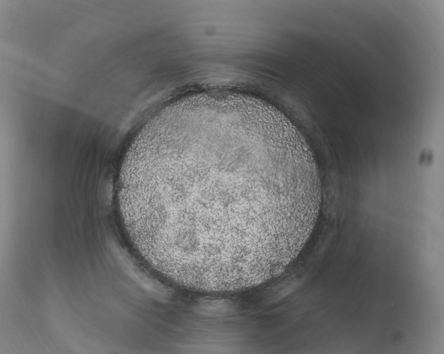 X0000111830454200908131550