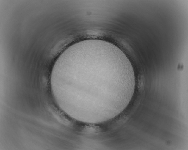 X0000111830455200908131550