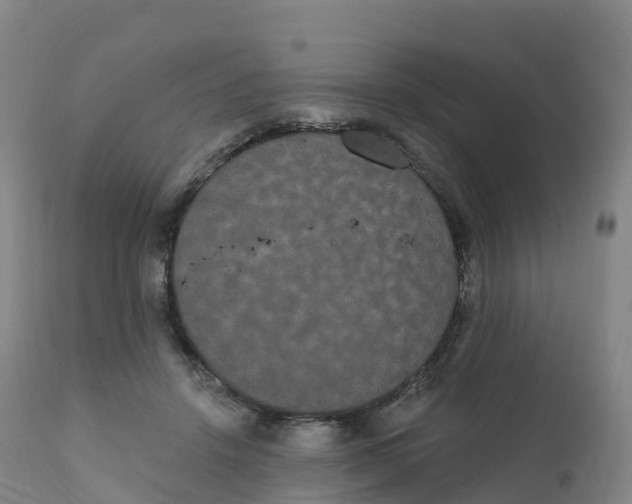 X0000111830456200908131550