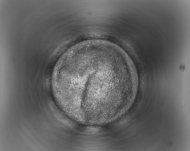 X0000111830457200908131550