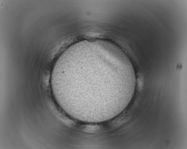 X0000111830458200908131550