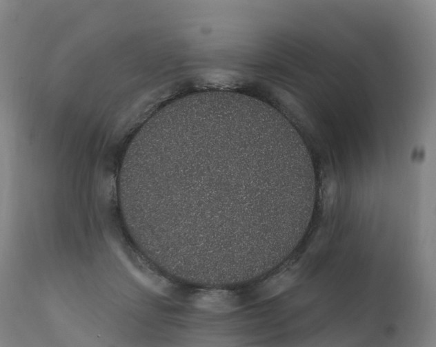 X0000111830459200908131550