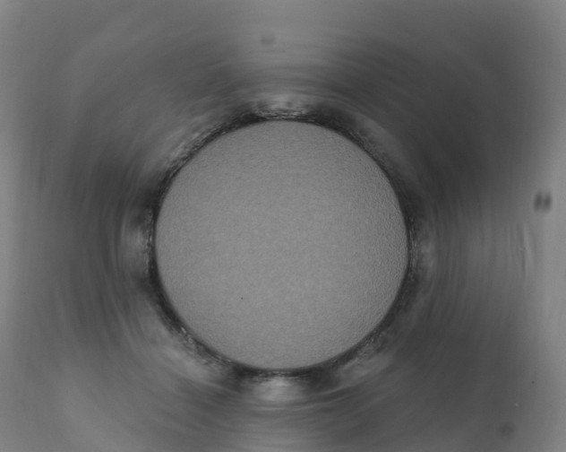 X0000111830460200908131550