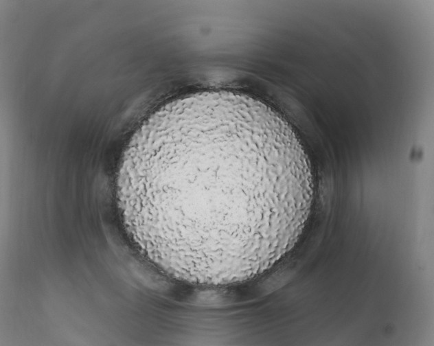 X0000111830461200908131550