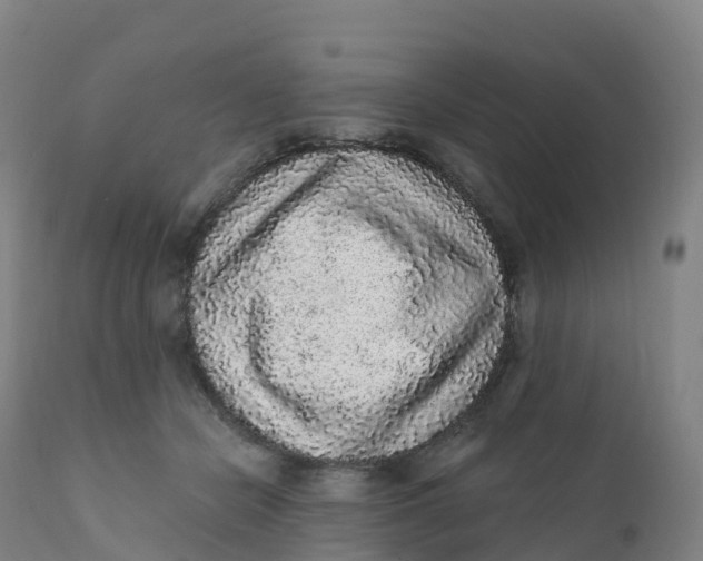 X0000111830462200908131550