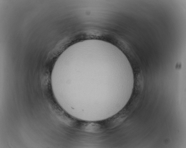 X0000111830463200908131550