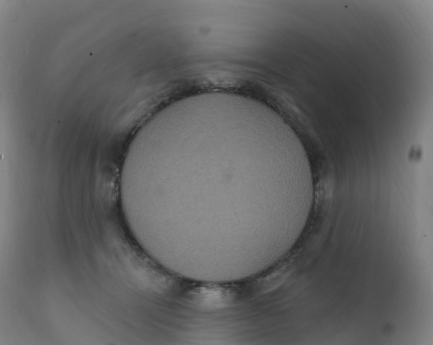 X0000111830464200908131550