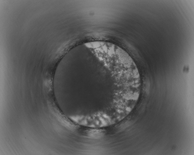 X0000111830465200908131550