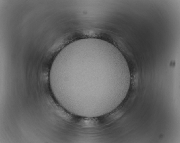 X0000111830466200908131550