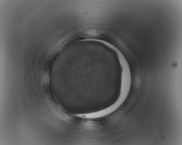 X0000111830467200908131550