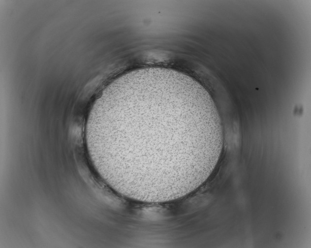 X0000111830468200908131550