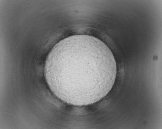 X0000111830469200908131550